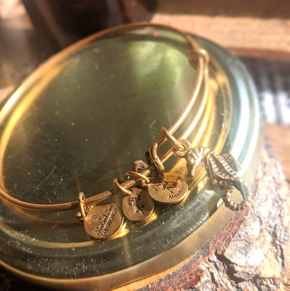 Alex & Ani - Seahorse charm bracelet - Picture 2 of 2